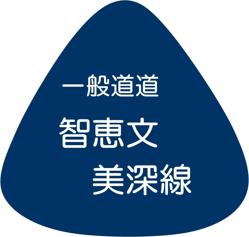 図1。記事公開時に記憶していた標識の形を図化しました。