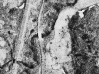 中頓別町字栄の空中写真。昭和23年5月7日、米軍撮影。