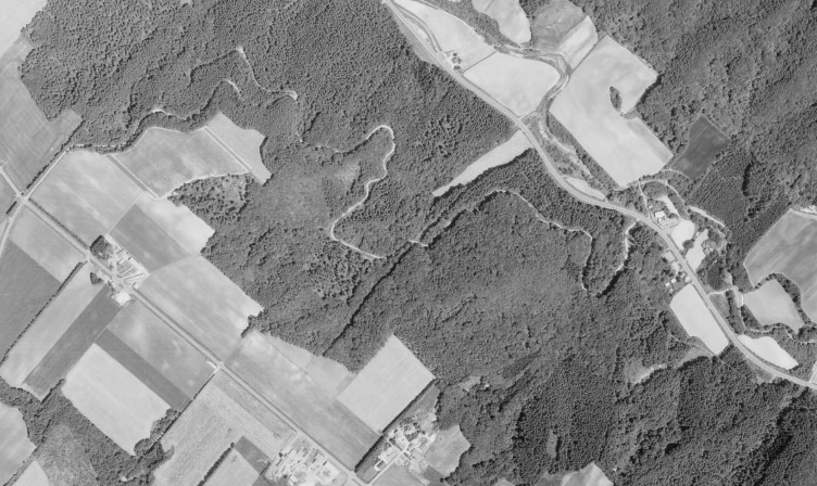 国土地理院「地図・空中写真閲覧サービス」より。